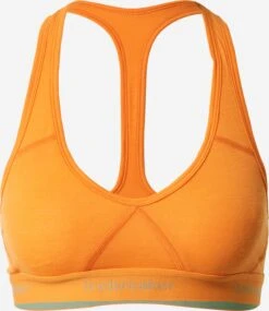 Icebreaker Low Support Bustier Sport Bh Sprite Dames Oranje