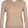 Icebreaker Truien & Sweaters Sporttrui Wilcox Dames Beige -Icebreaker 067ca6e3ae2ac7089651c817b65b27e8