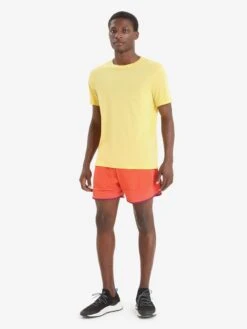 Icebreaker T-shirts Functioneel Shirt Heren Citroengeel -Icebreaker 15745f69ecdc8beb40bd4be4c5a4f8b8