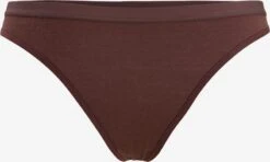 Icebreaker Ondergoed Sportondergoed Siren Dames Bruin