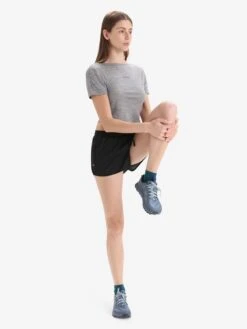 Icebreaker T-shirts Functioneel Shirt Dames Grijs -Icebreaker 1ff3c373e5e4601bc0ad858aed01e794