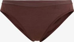 Icebreaker Ondergoed Sportondergoed Siren Dames Bruin