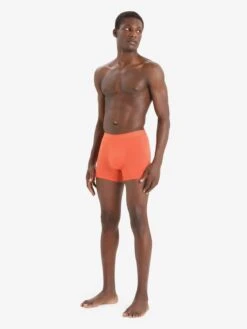 Icebreaker Pants Sportondergoed Anatomica Heren Oranje -Icebreaker 2967a42c37750157cdad0c5e07fe42aa