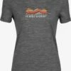 Icebreaker Shirts Functioneel Shirt Dames Grijs Gemêleerd -Icebreaker 2bf6cab5d1bb24fe88526855d3c89a67