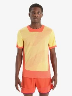 Icebreaker T-shirts & Tanktops Functioneel Shirt GEODETIC Heren Oranje -Icebreaker 32eb7d3c3e50fdf09de31a0370dec770