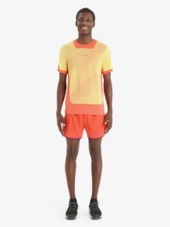 Icebreaker T-shirts & Tanktops Functioneel Shirt GEODETIC Heren Oranje -Icebreaker 3d02c32f15252f24c4736a3793dfbe59