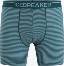 Icebreaker Onderbroeken Sportondergoed Anatomica Heren Groen / Wit