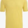 Icebreaker T-shirts Functioneel Shirt Heren Citroengeel -Icebreaker 4456418b16bc20b99fe6c2a158fd4d84