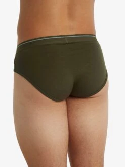 Icebreaker Onderbroeken Sportondergoed Anatomica Heren Olijfgroen -Icebreaker 57ea00ba08df3b4e51ed9431f08d2d11