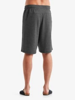 Icebreaker Shorts Regular Sportbroek Heren Grijs Gemêleerd -Icebreaker 5b02ecddd5355d5e3301e10166eb75d0