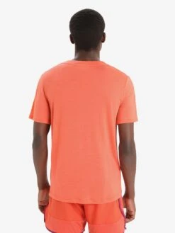 Icebreaker T-shirts & Tanktops Functioneel Shirt GEODETIC Heren Oranje -Icebreaker 69bb4de127ba9a301f58409e1c4c5ea8
