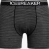 Icebreaker Onderbroeken Sportondergoed Anatomica Heren Grijs -Icebreaker 6c51e8364ed665dc2c287397bfd50a62