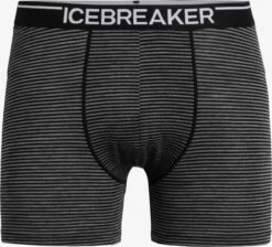 Icebreaker Onderbroeken Sportondergoed Anatomica Heren Grijs