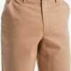 Icebreaker Shorts Regular Outdoorbroek Berlin Heren Sand