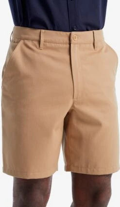 Icebreaker Shorts Regular Outdoorbroek Berlin Heren Sand