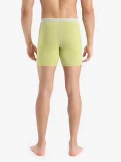 Icebreaker Pants Sportondergoed Anatomica Heren Geel -Icebreaker 7e7886629ea2336fb317cfc2a6b11aa9