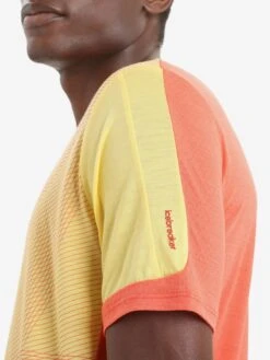 Icebreaker T-shirts & Tanktops Functioneel Shirt GEODETIC Heren Oranje -Icebreaker 8521754ee1d973927fd6544ed6e188ff