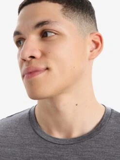 Icebreaker T-shirts Functioneel Shirt Sphere II Heren Grijs -Icebreaker 8bc10711884b974b6b0c99fb3e72f423