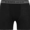 Icebreaker Pants Sportondergoed Anatomica Heren Zwart -Icebreaker 9019f48189a58b08e4cab049187210a7