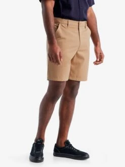 Icebreaker Shorts Regular Outdoorbroek Berlin Heren Sand -Icebreaker 930935a0dea1e5c39a6029afbc48670f