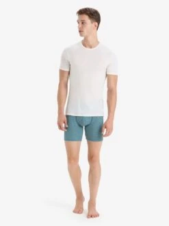 Icebreaker Pants Sportondergoed Anatomica Heren Groen / Lichtgroen -Icebreaker 96385a6dd86a0d7cc161d46adefd39b2