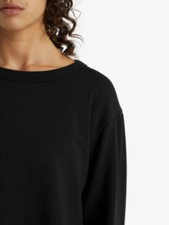 Icebreaker Truien & Sweaters Sportief Sweatshirt DALSTON Dames Zwart -Icebreaker 9d52eae4b9a81fc46a28c8ea0dd020e7