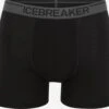 Icebreaker Onderbroeken Sportondergoed Anatomica Heren Zwart -Icebreaker 9e2a9420924209fcb83258896f02f7ff