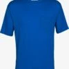 Icebreaker T-shirts Functioneel Shirt Granary Heren Blauw -Icebreaker ad5084b71cd14c2ccaa588fc9e3c0246