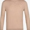Icebreaker Truien & Sweaters Sporttrui Wilcox Heren Beige -Icebreaker ad547392a85020058b8de463d7f797ba
