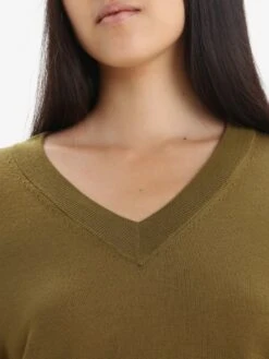 Icebreaker Truien & Sweaters Sporttrui Wilcox Dames Bruin -Icebreaker ae2974d4071a51469337d3f593824500