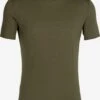 Icebreaker T-shirts Functioneel Shirt Anatomica Heren Olijfgroen -Icebreaker b0382c6b494aca12d9e701b93361262c