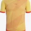 Icebreaker T-shirts & Tanktops Functioneel Shirt GEODETIC Heren Oranje -Icebreaker b2844daabd05eb35026f968fa9cd2d58