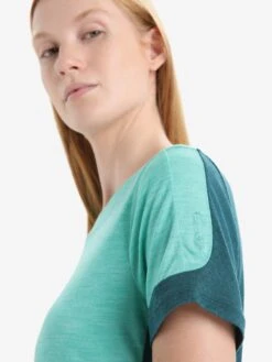 Icebreaker Shirts Functioneel Shirt Dames Donkergroen / Groen Gemêleerd -Icebreaker b286619930b9791847f207d911390e01