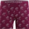 Icebreaker Onderbroeken Sportondergoed Heren Lila 2 Icebreaker Onderbroeken Sportondergoed Heren Lila -Icebreaker bcefb67f7e6c28ea7b8dc4263f426c8a