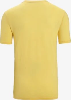 Icebreaker T-shirts Functioneel Shirt Heren Citroengeel -Icebreaker c1a16d18a1da07ec4f1b32986f38ceb9