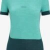Icebreaker Shirts Functioneel Shirt Dames Donkergroen / Groen Gemêleerd -Icebreaker c90878bd23d1701773d162b28d619db5