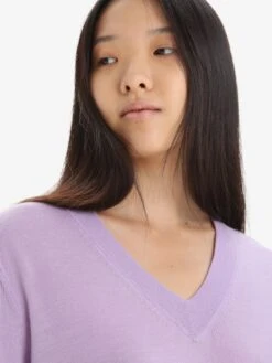 Icebreaker Truien & Sweaters Sporttrui Wilcox Dames Sering -Icebreaker cc68e7c3a57ad43d39dbee74af7c18df