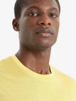 Icebreaker T-shirts Functioneel Shirt Heren Citroengeel -Icebreaker ce36f932415c9545a67c00d5b6838f9c