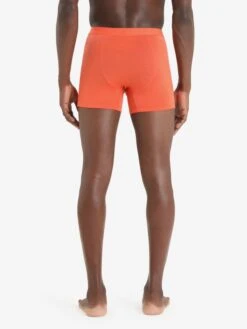 Icebreaker Pants Sportondergoed Anatomica Heren Oranje -Icebreaker cf933cb3cebf13825c0a877aa5f2bfd0