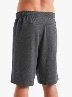 Icebreaker Shorts Regular Sportbroek Heren Grijs Gemêleerd -Icebreaker d094b026c09aba9a1a4978d3d8b14eb5