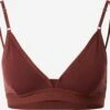Icebreaker Sport Behas Triangel Sport Bh Siren Dames Kastanjebruin -Icebreaker db703b93abf9a94a4d3573dc3b169a5b