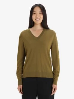 Icebreaker Truien & Sweaters Sporttrui Wilcox Dames Bruin -Icebreaker e088ebf415a47b438dc12a7fa31a44dc