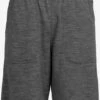 Icebreaker Shorts Regular Sportbroek Heren Grijs Gemêleerd -Icebreaker e928aa3cb4b0fa8ec48f080800a3374d