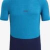 Icebreaker T-shirts & Tanktops Functioneel Shirt Heren Navy / Azuur 2 Icebreaker T-shirts & Tanktops Functioneel Shirt Heren Navy / Azuur -Icebreaker ea7ffc262a14f88da7f93b5e2abe734d