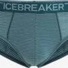 Icebreaker Onderbroeken Sportondergoed Anatomica Heren Pastelgroen / Donkergroen -Icebreaker ec1794d8c0ef73181afd11bb27872992
