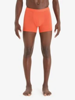 Icebreaker Pants Sportondergoed Anatomica Heren Oranje -Icebreaker f00f5d5e4077b1b45e49e7e2fc3555f1