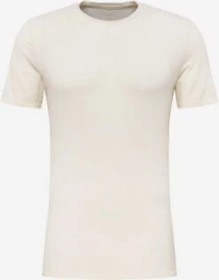 Icebreaker T-shirts Functioneel Shirt Anatomica Heren Wit