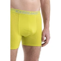 Icebreaker Anatomica Boxershort Heren - Bio Lime -Icebreaker icebreaker mens anatomica boxers bio lime model 4 1498591