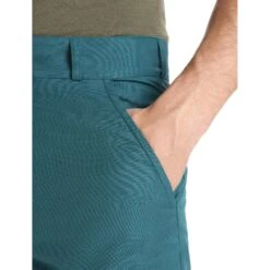 Icebreaker Hike Short Heren - Green Glory -Icebreaker icebreaker mens hike shorts green glory 6 1382611