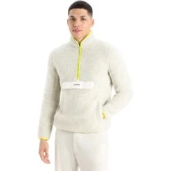 Icebreaker RealFleece™ High Pile Half Zip Fleece Trui Heren - Ecru Hthr/Shine